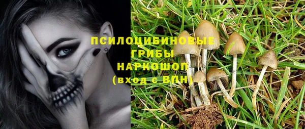 спайс Алексин